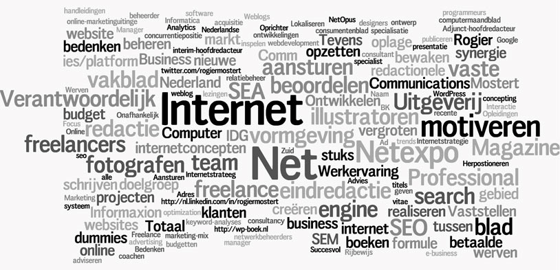 Tagcloud werkervaring Rogier Mostert Tagcloud werkervaring Rogier Mostert