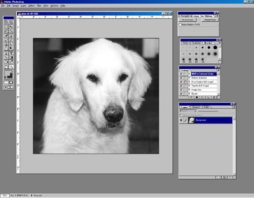 Bitmap - Adobe Photoshop