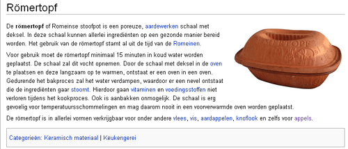 Het aangepaste artikel